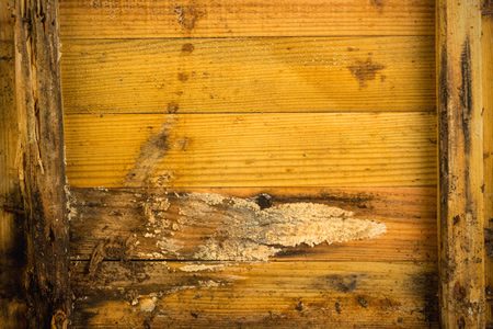 Belastete Baustoffe, Holzwand verwittert - Josef Kessler GmbH